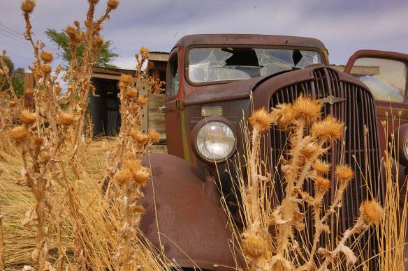 12140130_10203790864090904_1688847713055802815_o