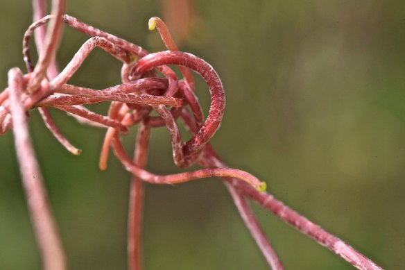 14753722_10205792607413236_8032562260238878351_o